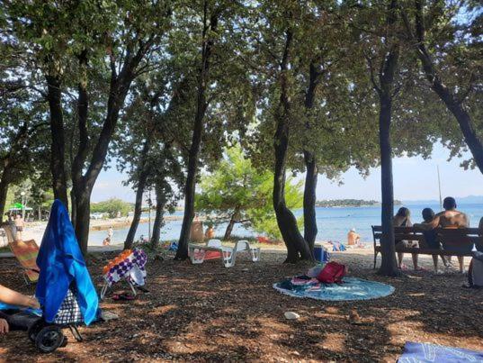 Apartments Summer Touch Петрчане Екстер'єр фото